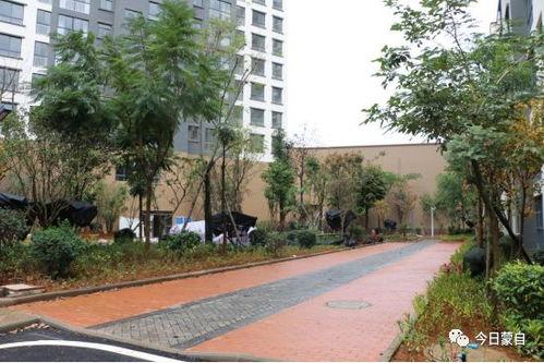 龙湖维也纳小区最新爆料,揭秘神秘豪宅背后的故事